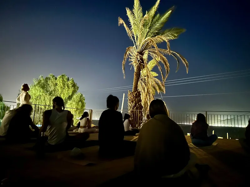 קבוצה יושבת על הדק בלילה, ומאחוריה דקל מואר.