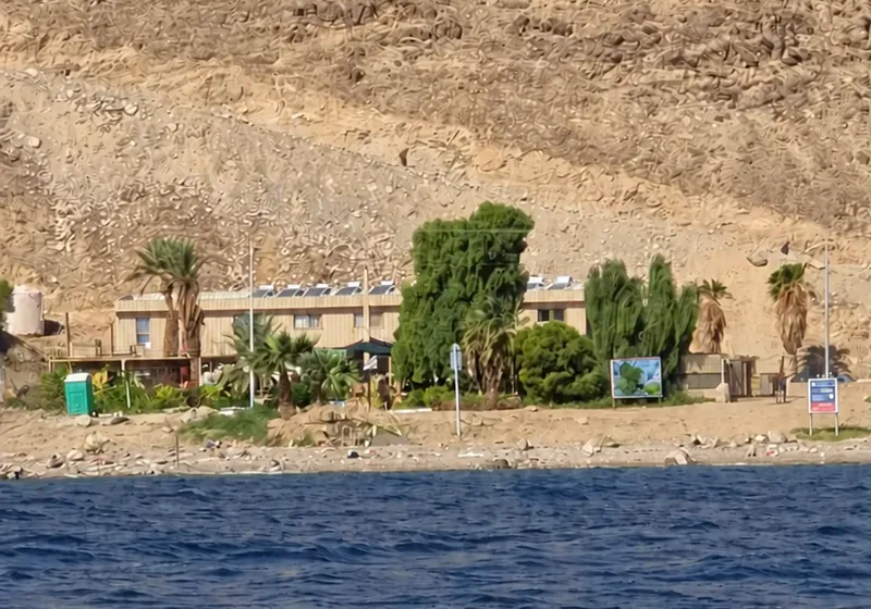 הכפר מהים: בתים נמוכים, דקלים ועצים ירוקים על חוף החצץ, מעליהם ההר החום, ולפניהם הים הכחול.